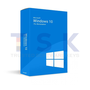 windows 10 professional