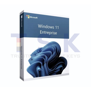 windows 11 enterprise