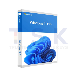 Windows 11 pro